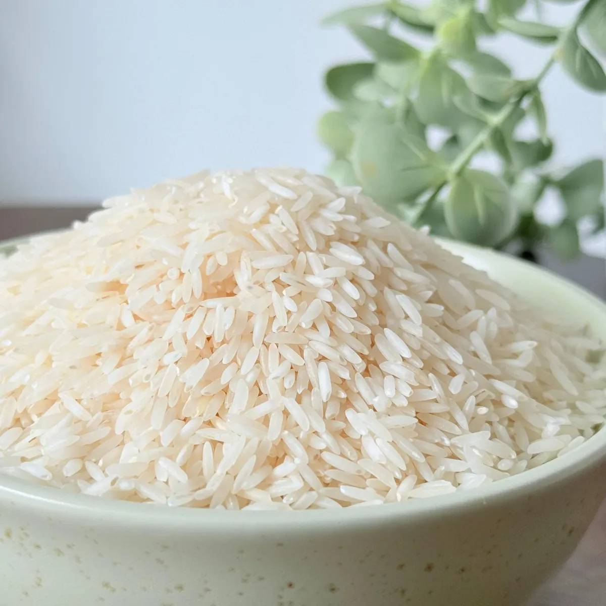 Rice as a System: Structure, Starch, Function and Cooking